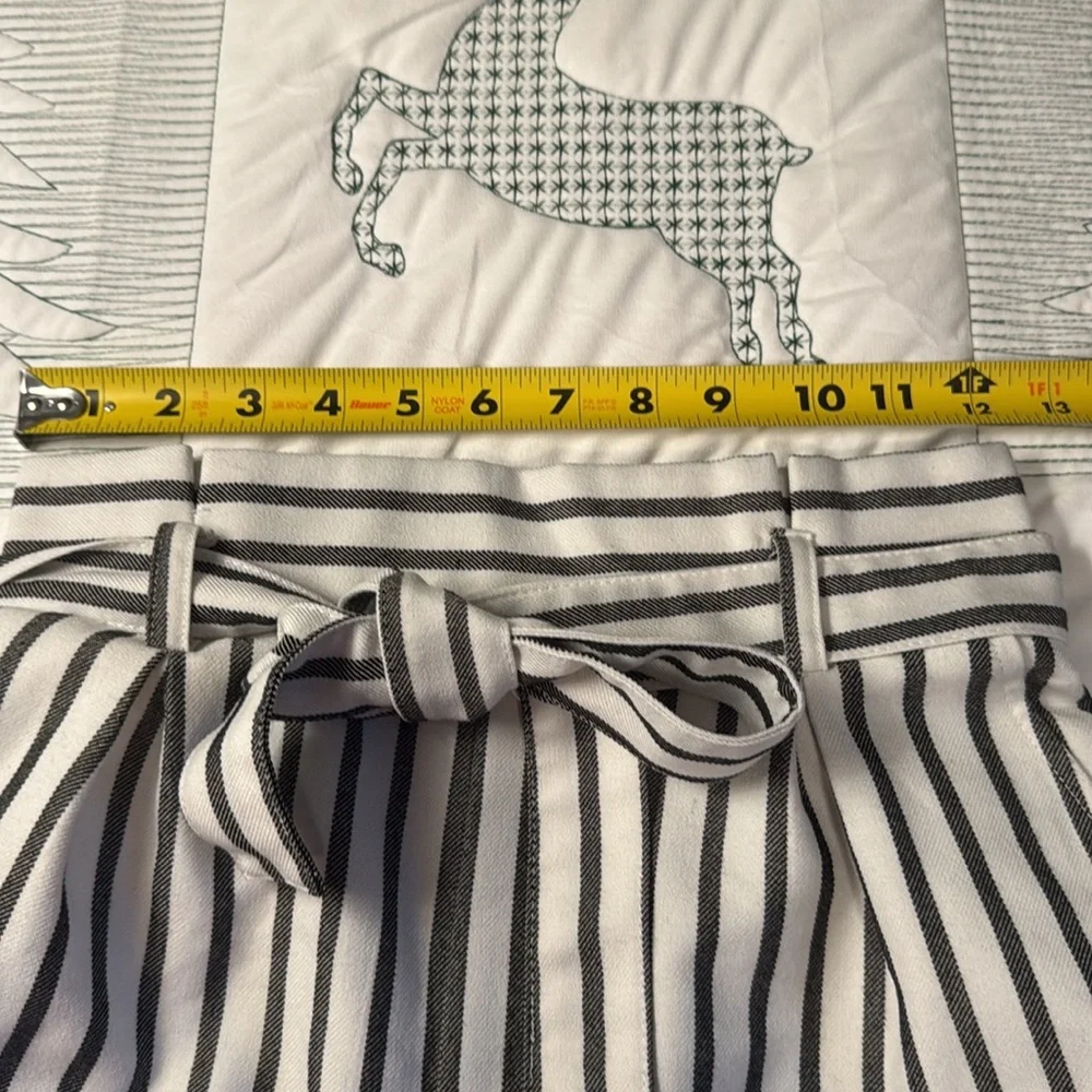 Forever 21 Black and White Striped High Waist Shorts-XS